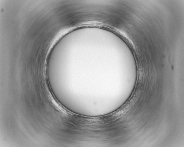 X0000088211421200705151040
