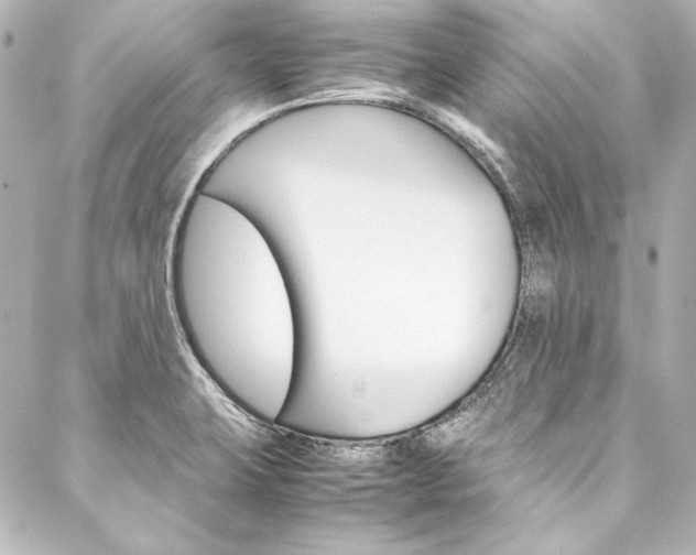 X0000088211423200705151040
