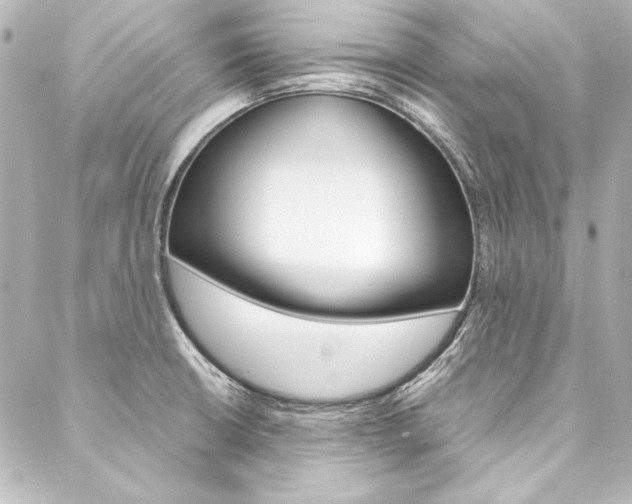 X0000088211426200705151040