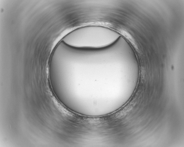 X0000088211428200705151040