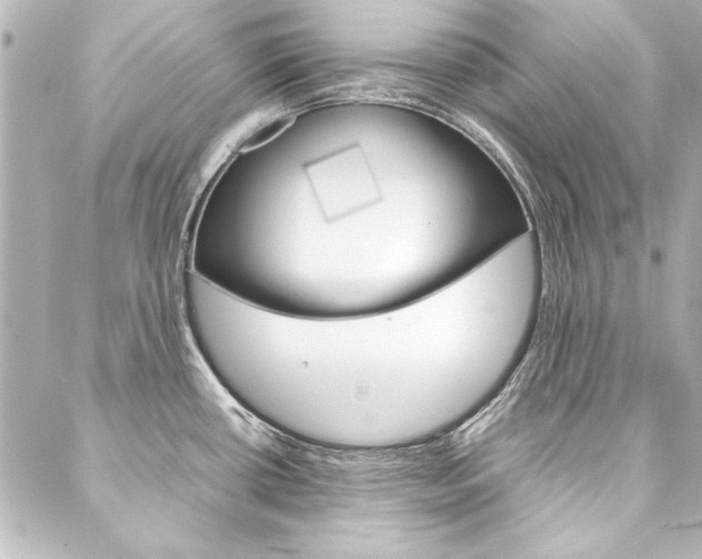 X0000088211434200705151040