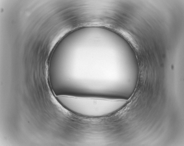 X0000088211476200705151039