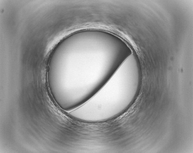 X0000088211504200705151038