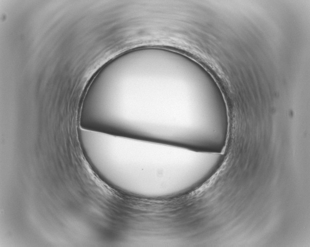 X0000088211513200705151038