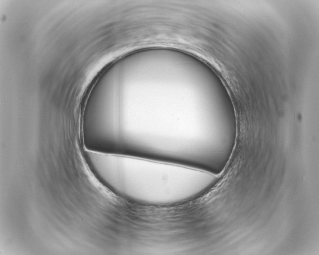 X0000088211515200705151038