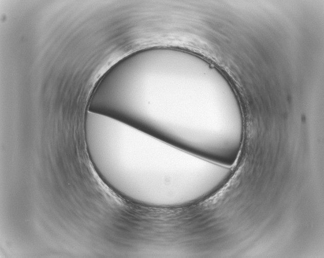 X0000088211521200705151038