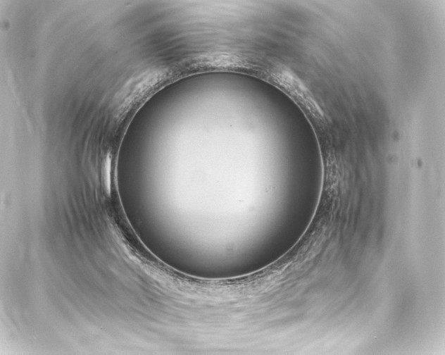 X0000088210014200705151354