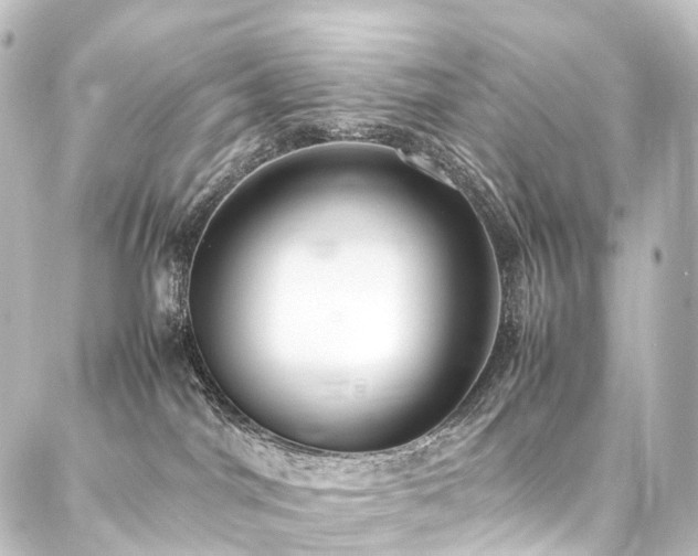 X0000088210044200705151353