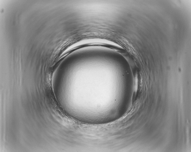 X0000088210045200705151353