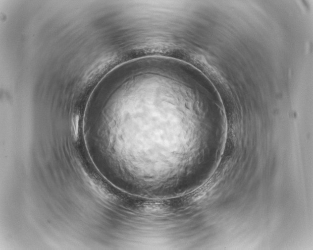 X0000088210070200705151353