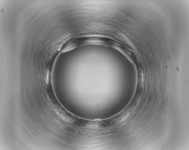 X0000088210076200705151353