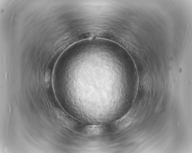 X0000088210082200705151353