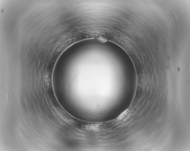 X0000088210086200705151353