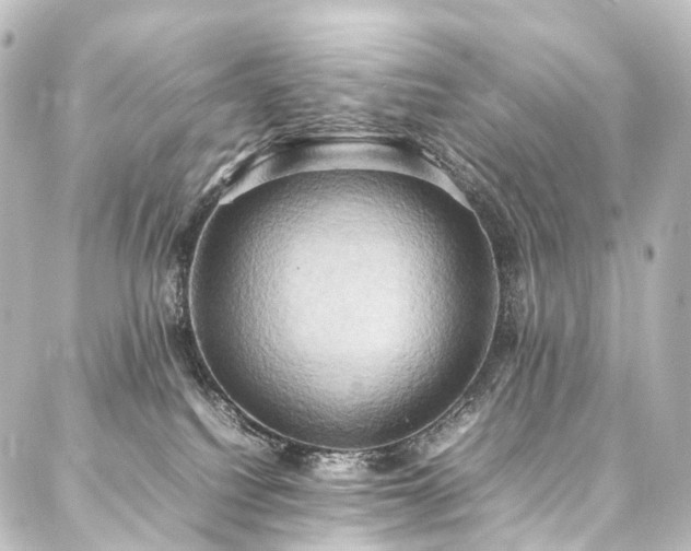 X0000088210088200705151353