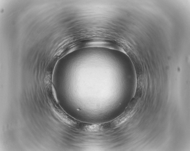 X0000088210092200705151353