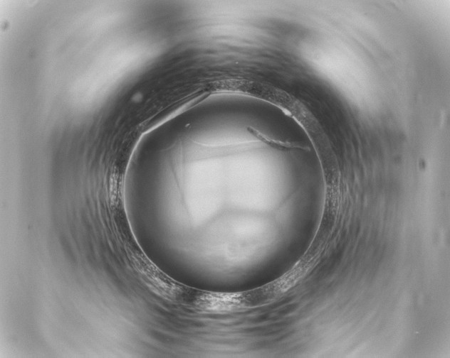 X0000088210093200705151353