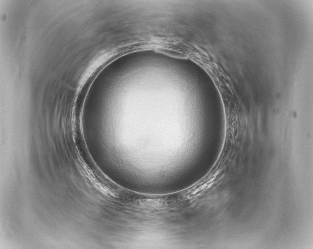 X0000088210102200705151352