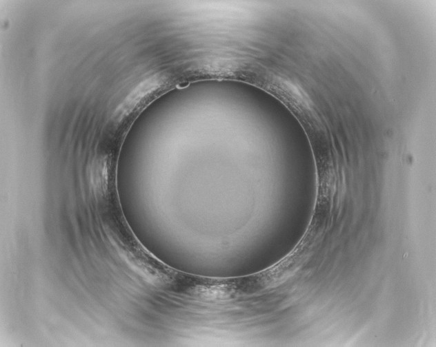 X0000088210120200705151352