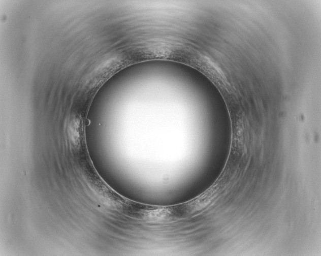 X0000088210122200705151352