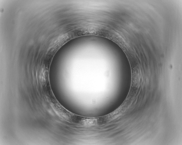 X0000088210126200705151352
