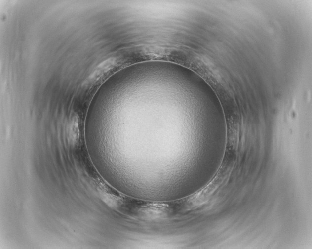 X0000088210128200705151352