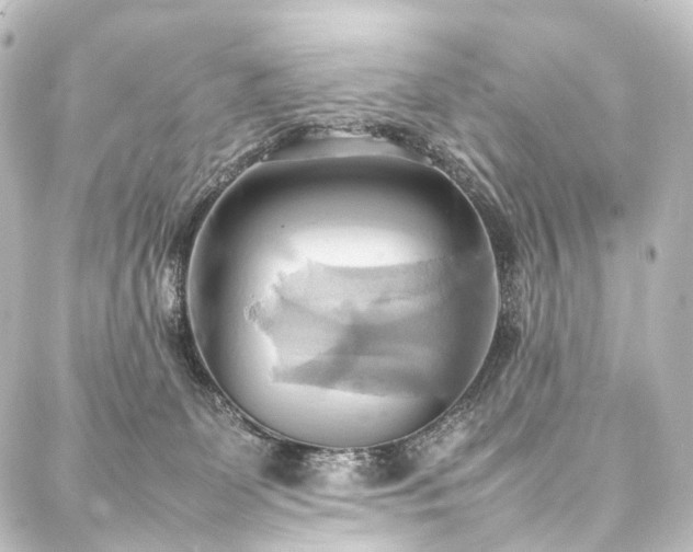 X0000088210131200705151352