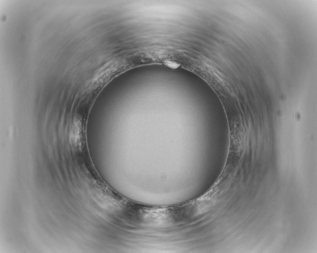 X0000088210132200705151352