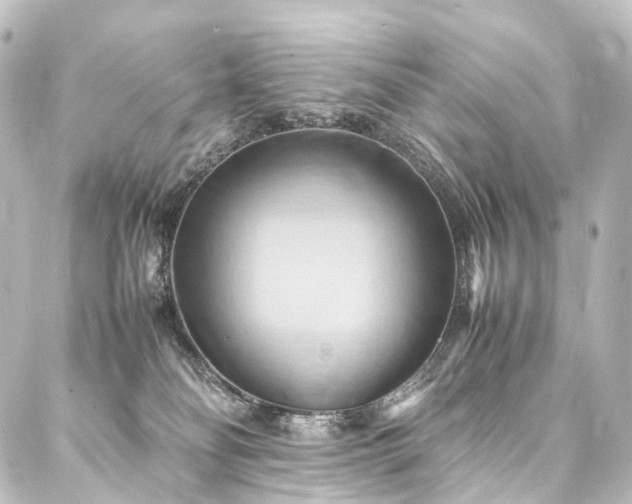 X0000088210134200705151352