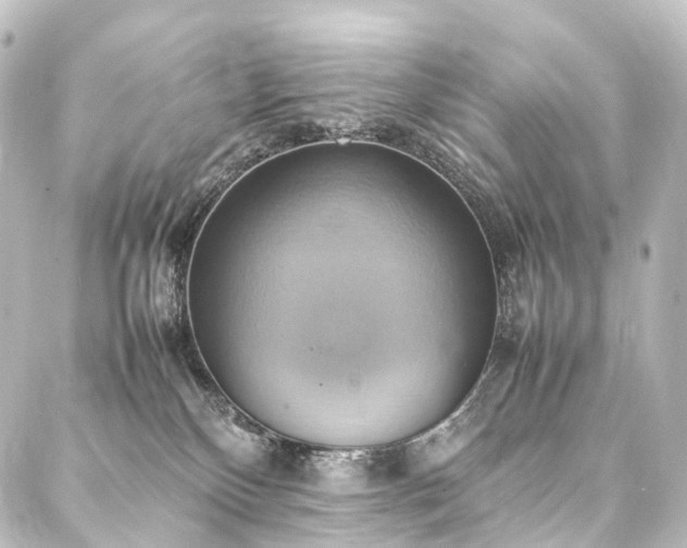 X0000088210136200705151352