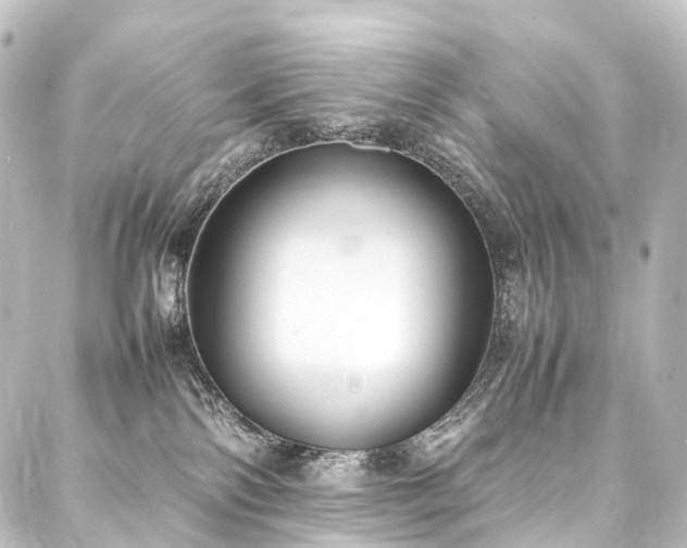 X0000088210138200705151352