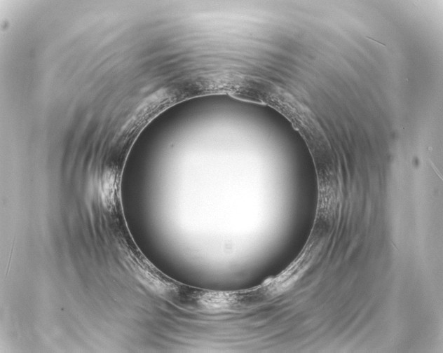 X0000088210142200705151352