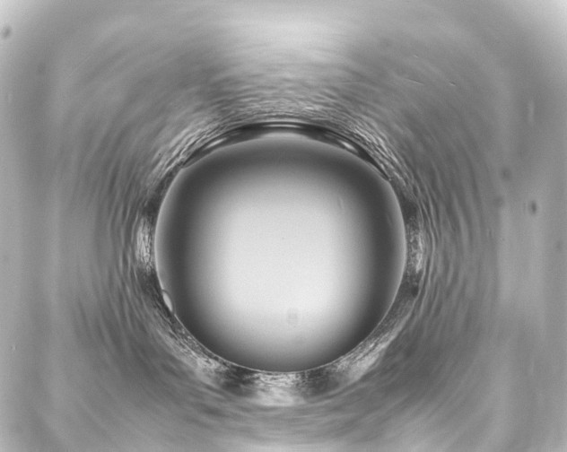 X0000088210143200705151352
