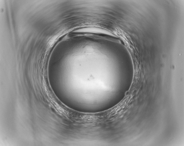 X0000088210145200705151351