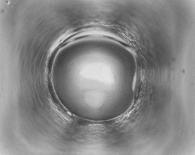 X0000088210150200705151351