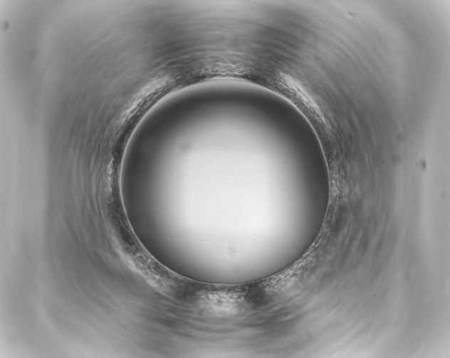 X0000088210163200705151351