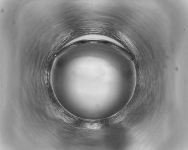 X0000088210169200705151351
