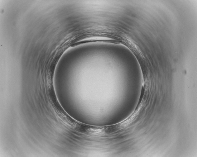 X0000088210170200705151351