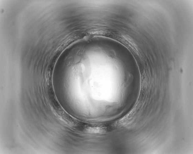 X0000088210171200705151351