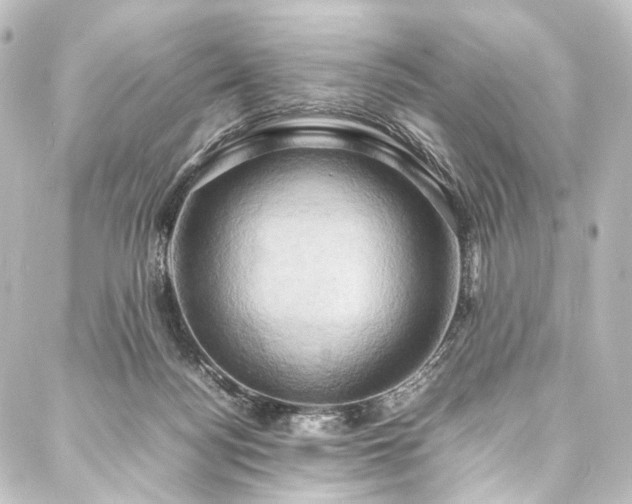 X0000088210172200705151351