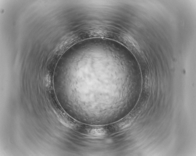X0000088210173200705151351