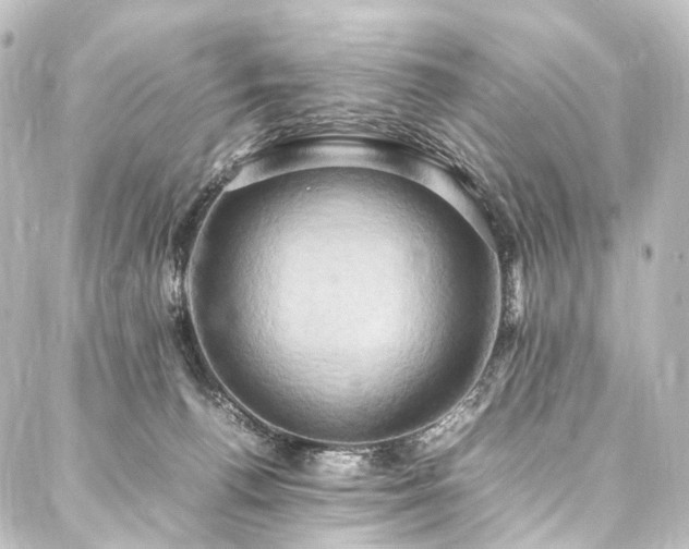 X0000088210176200705151352