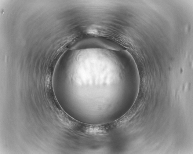 X0000088210177200705151352