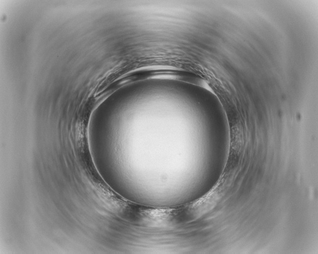 X0000088210184200705151352