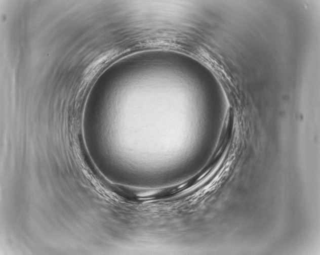 X0000088210193200705151351