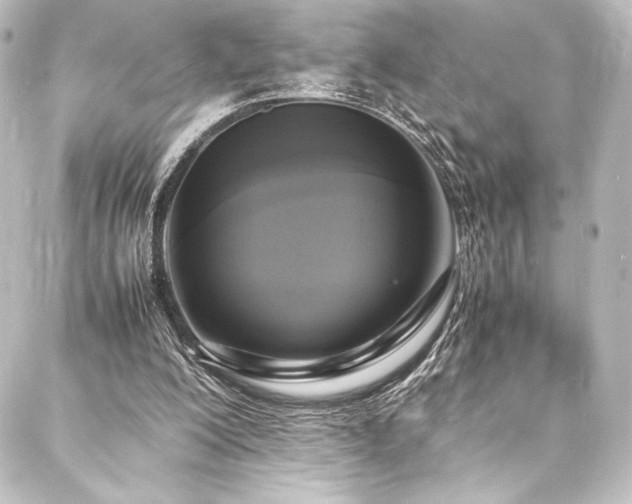 X0000088210200200705151351