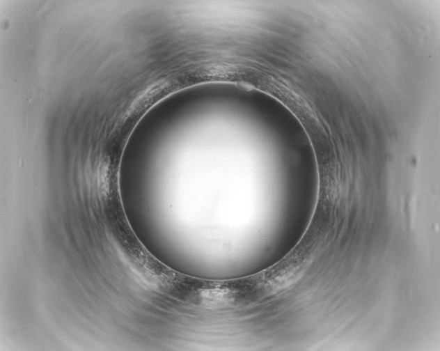 X0000088210216200705151351