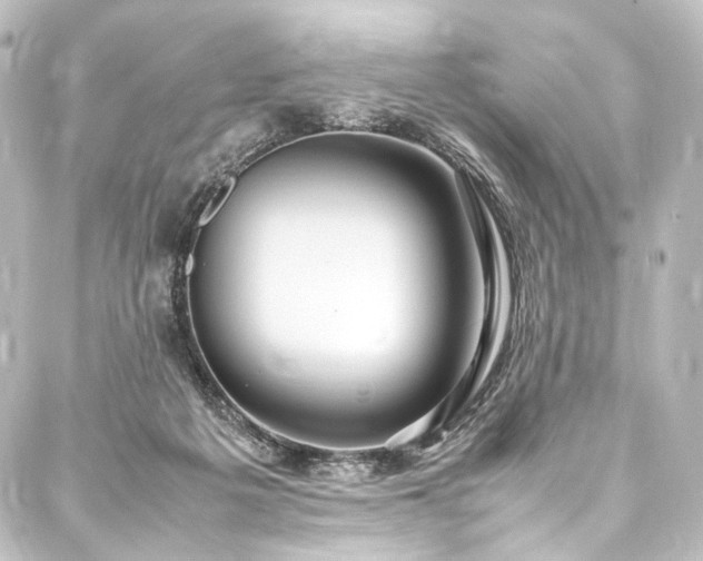 X0000088210217200705151351