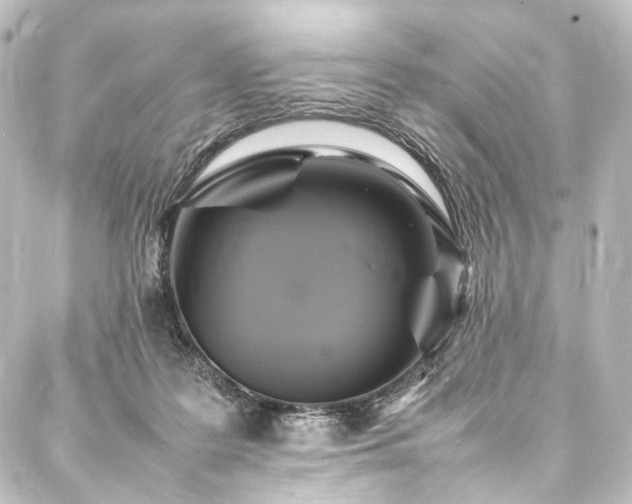 X0000088210219200705151351