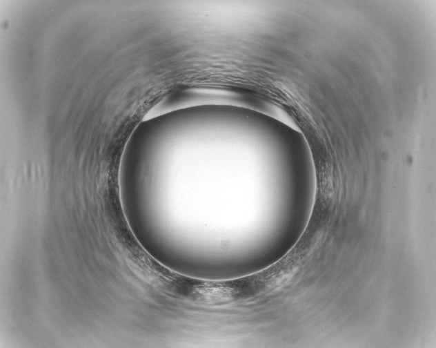 X0000088210221200705151351