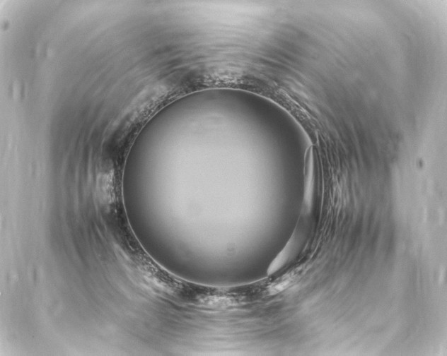 X0000088210224200705151350